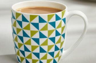 Home Centre Moksha Stoneware Cup and Saucer – 230ml